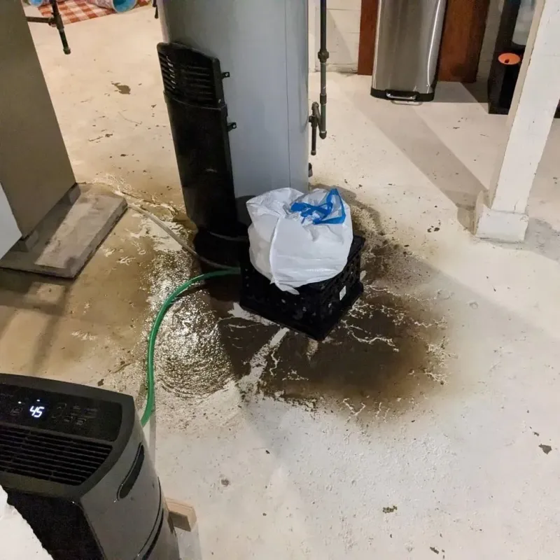 Sewage Backup Cleanup Service in Oronogo, MO